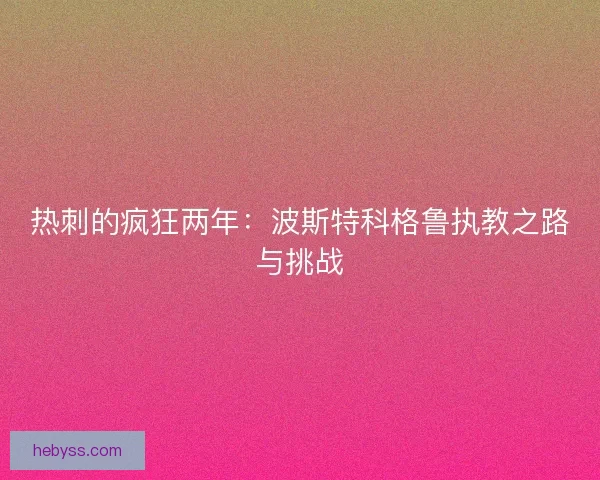 热刺的疯狂两年：波斯特科格鲁执教之路与挑战