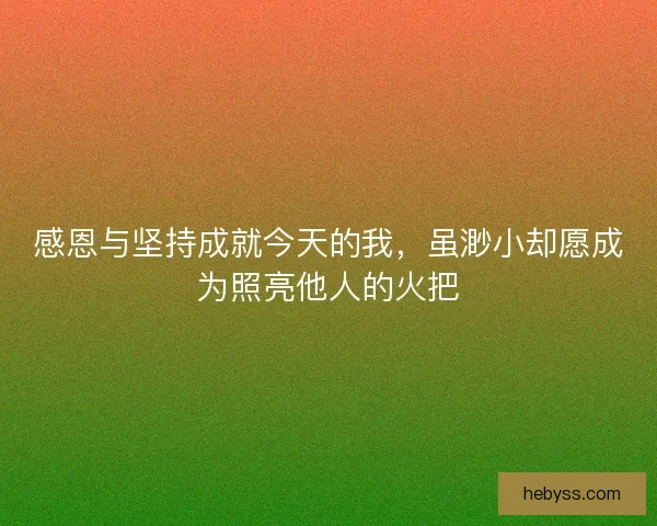 感恩与坚持成就今天的我，虽渺小却愿成为照亮他人的火把
